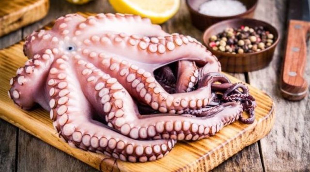 Receta De Empanada De Pulpo