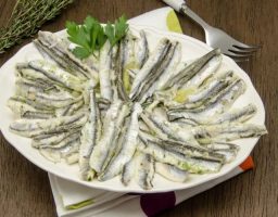 Boquerones en Vinagre