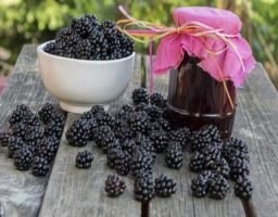 mermelada de moras