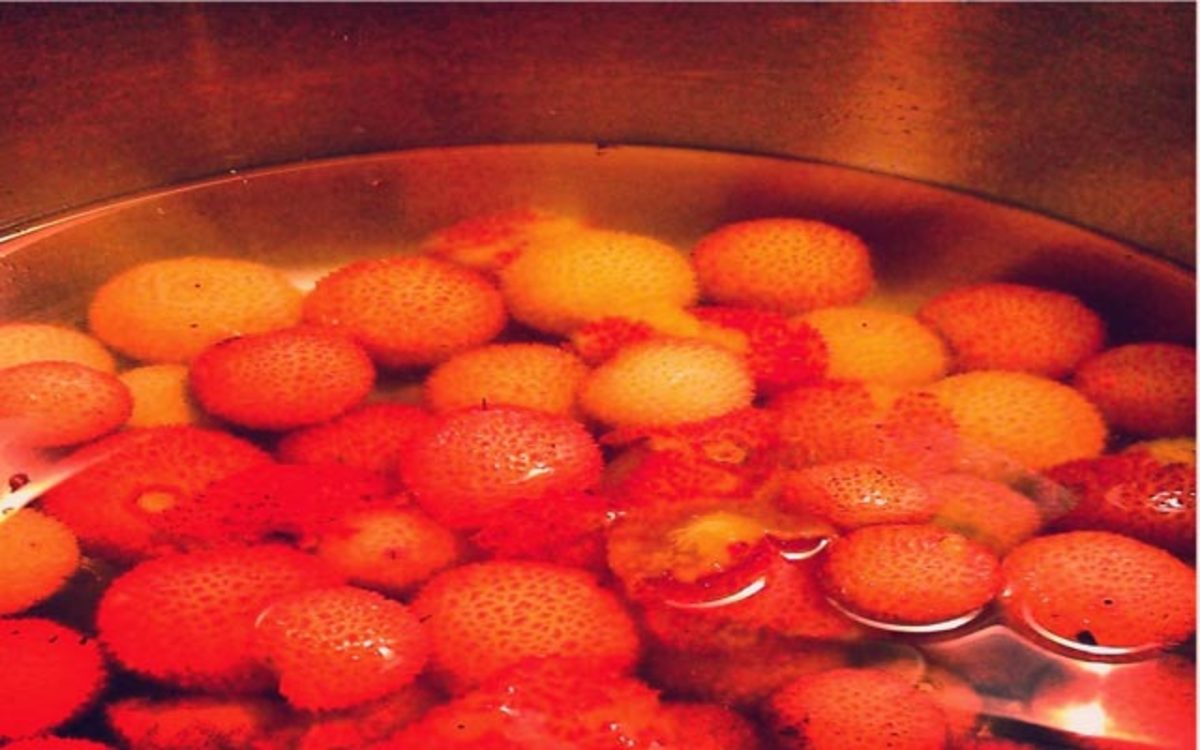 Receta de Licor de madroño