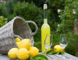 limoncello casero