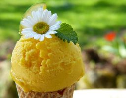 Helado de naranja en Thermomix