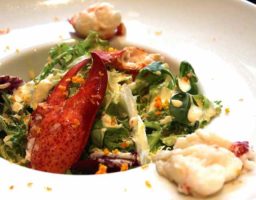 Ensalada de bogavante