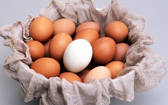Huevos al nido