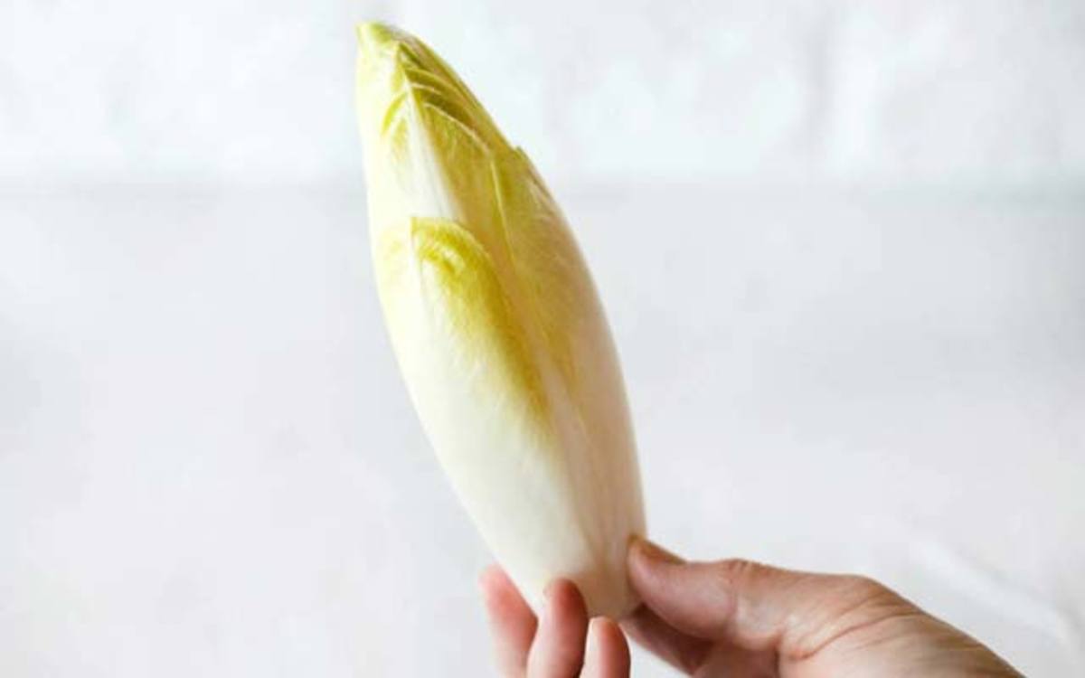 Receta de Endivias a la plancha