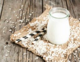 Receta de Yogur de arroz