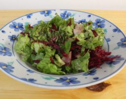 Ensalada de betarraga y lechuga